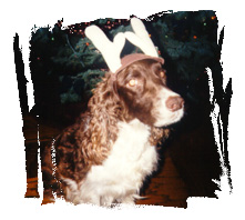 Christmas Chels