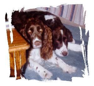 Chelsea and Sherlock
