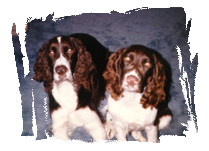 Sherlock and Chelsea