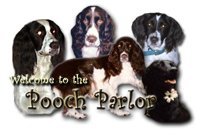 Pooch Parlor
